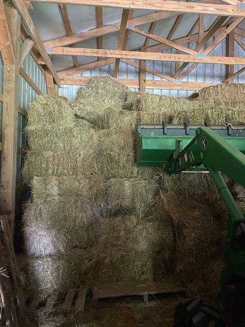 Good horse hay mixed timothy Orchard. Need to move before this year cutting - Image 1