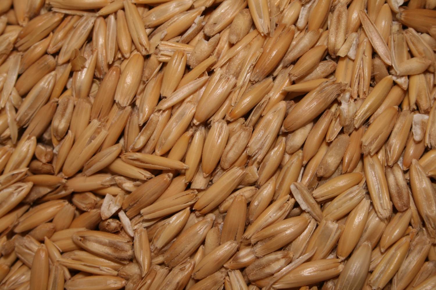 Complete Livestock Feed - Lab Tested - Image 1