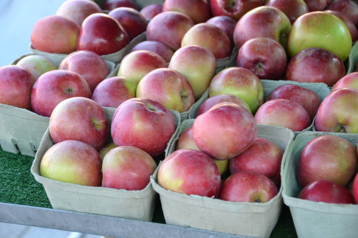 Fresh Honeycrisp Apples: U-Pick or Pre-Picked - Image 1