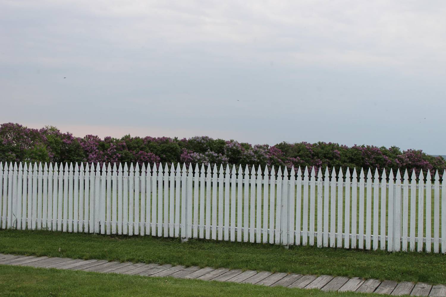 Agricultural Fence Installation & Repair - Image 1