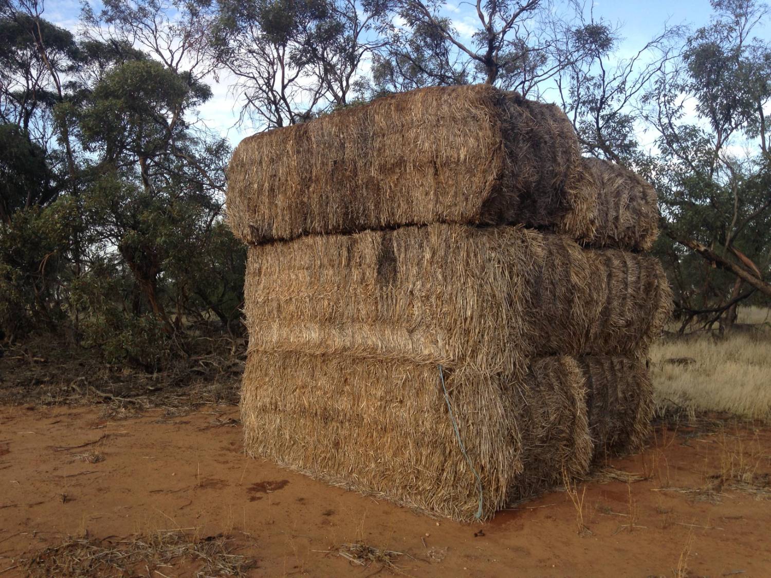 Grass/Alfalfa Mix Hay - Premium Horse Quality - Image 1
