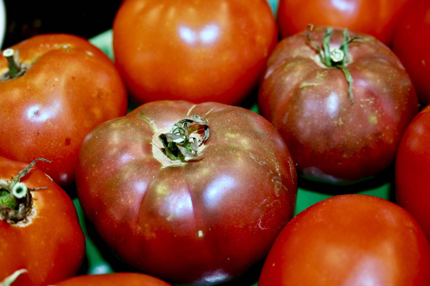 Heirloom Tomato Seed Collection - 10 Varieties - Image 1